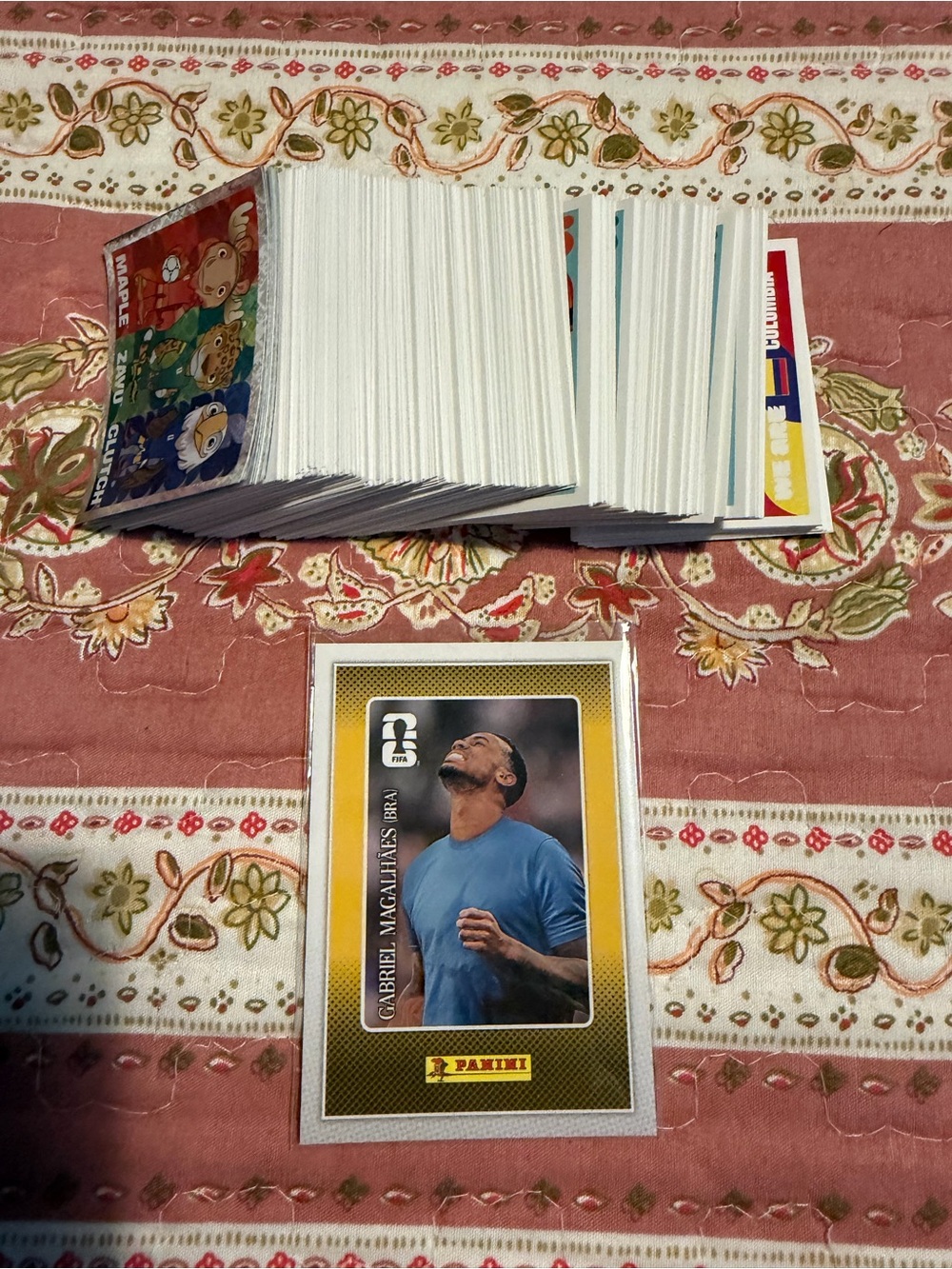 Panini Soccer Trading Card and FIFA stickers